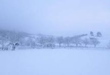 LEDENI DANI OD JANUARA Polarni vrtlog nam donosi sneg do kolena, čeka nas ledeni period od 20 dana