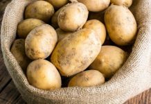 KROMPIR brzo klija? Čuvajte ih zajedno sa ovim proizvodom. Ni jedan neće proklijati!