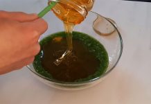 Ljekoviti Med od Čuvarkuće: Kako ga Napraviti i Koristiti