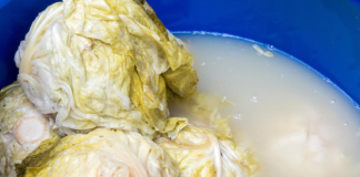 PIJETE LI RASOL? Pogledajte 5 razloga zašto biste trebali!