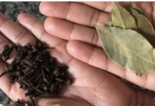 Skuvajte 2 lovorova lista, 4 karanfilića i nikad ne zaboravite ovaj recept: SPAS ZA OTOK, BOL I SLAB IMUNITET!