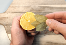 Samo zapiknite lovorov list u limun! UČINAK JE ZAPANJUJUĆ!