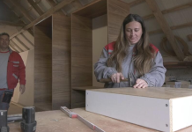 PETROVIĆI UJUTRU RADE JEDAN POSAO A POPODNE IH ČEKA DRUGI – I SVE TO OD KUĆE! Pokrenuli 2 retka biznisa, sada žive svoj san