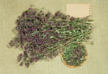 OVO JE NAJZDRAVIJI ČAJ NA SVIJETU: SPRJEČAVA SVE OD OBIČNE PREHLADE DO KANCERA! (RECEPT)