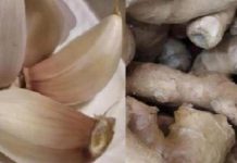 OTROV IZ PLUĆA NESTAJE U ROKU OD 72 SATA: Preporučuje se pušačima da ga konzumiraju barem 14 dana…