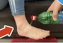 Bacite sirće na noge i GLEDAJTE ŠTA SE DEŠAVA