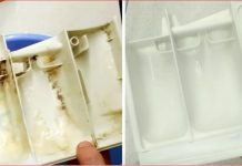 Ova stvar uklanja svu prljavštinu, kamenac i plijesan iz spremnika moje perilice: petnaest minuta i kao nova je!