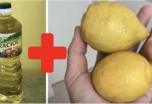 Svekrva mi je savjetovala da pomiješam limun sa običnim uljem: To je savršen kućni TRIK, koristim ga svaki dan!