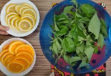 ČUDESNI SOK OD KOPRIVE, Limuna I Pomorandži Popravlja Krvnu Sliku, Smiruje Kašalj, Jača Kosu I Kožu!