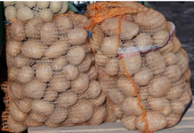 Deda je to uvijek bacao u kesu sa krompirom i izdržali su do sljedeće berbe: Ni jedan nije proklijao! (Foto)