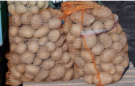 Deda je to uvijek bacao u kesu sa krompirom i izdržali su do sljedeće berbe: Ni jedan nije proklijao! (Foto)