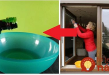 Tajna naše bake su super čisti prozori bez ribanja i poliranja: ne morate se više baviti mrljama, oni odmah zasjaje!