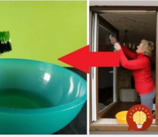 Tajna naše bake su super čisti prozori bez ribanja i poliranja: ne morate se više baviti mrljama, oni odmah zasjaje!