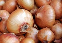 Cijelu jesen i zimu ne kupujem SIRUPE ZA KAŠALJ: Ništa ne djeluje tako brzo kao ovaj jednostavan recept za luk!