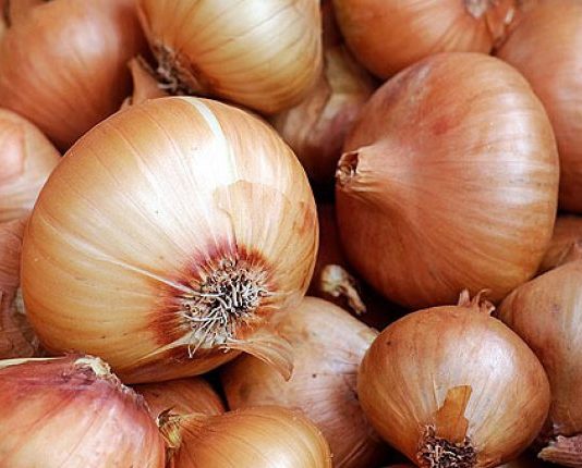 Cijelu jesen i zimu ne kupujem SIRUPE ZA KAŠALJ: Ništa ne djeluje tako brzo kao ovaj jednostavan recept za luk!