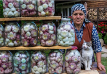 ČEŠNJAK za zimnicu BEZ konzerviranja: Ostaje svež tokom cijele godine, a zdravstvene koristi su neopisive!