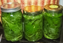 Imala je stalno NISKO ŽELJEZO, a onda je otkrila OVAJ recept: Kada je izvadila NALAZE