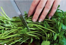 DOKAZANO NAJZDRAVIJA NA SVIJETU, A NIKO JE NE JEDE: OVA NAMIRNICA LIJEČI SVE, OD SRCA DO SLABE KOSE!