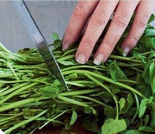 DOKAZANO NAJZDRAVIJA NA SVIJETU, A NIKO JE NE JEDE: OVA NAMIRNICA LIJEČI SVE, OD SRCA DO SLABE KOSE!