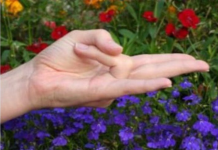 STAVITE PRSTE U OVAJ POLOŽAJ I DRŽITE NEKOLIKO SEKUNDI: Bit Ćete Nam Zahvalni Na Ovome, Provjereno Radi!