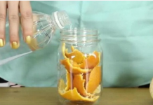 POTOPILA je kore od pomorandži u SIRĆE! Kada vidite ŠTA je dobila, stalno ćete ga koristiti!