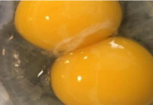 Znate li šta jedete? Ako ikada primijetite OVO na svojim jajima, odmah ih bacite!