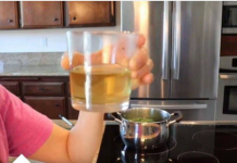 1 ŠOLJA OVOG ČAJA LIJEČI MNOGE BOLESTI: Pravi se od biljke KOJU MOŽETE UBRATI BILO GDJE (RECEPT)