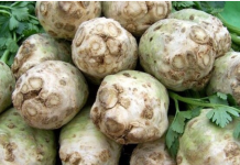 ČUDESNI NAPITAK OD CELERA: TOPI KAMENAC, UKLANJA HOLESTEROL I OLAKŠAVA PROBAVU