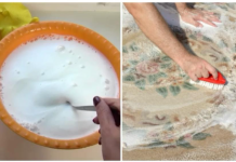 Evo jednog fantastičnog kućnog trika za čišćenje tepiha koji će vas oduševiti!