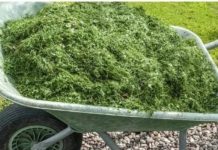 NE BACAJTE POKOŠENU TRAVU: EVO KAKO JU PRETVORITI U SUPER GNOJIVO!