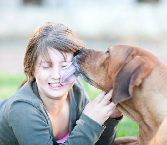Rođak je dobio sve, ja samo psa – dok nismo okrenuli njegovu ogrlicu