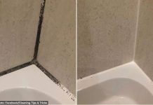 KAMENAC I PRLJAVŠTINA U PUKOTINAMA BUKVALNO SU NESTALI PRED NAŠIM OČIMA: Kućni trik kojim sam očistila kupatilo staro 20 godina u TOP stanju!