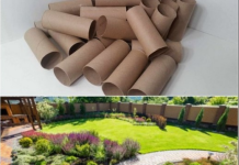 Ne bacajte rolnu toalet papira: Jedna žena je napravila čudo – i svi će ovog proleća posmatrati njeno dvorište