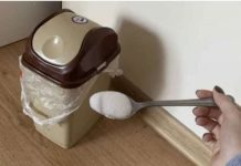 Svaki smrad u stanu će ODMAH nestati ako koristite ovaj jednostavan TRIK!