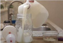 NAJZDRAVIJI NAPITAK ZA JUTRO I PRAZAN STOMAK: Ima 3 PUTA VIŠE probiotika od jogurta i lako se vari – NE ZANEMARUJTE GA!