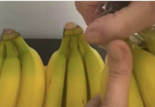 EVO KAKO DA VAM BANANE NE POCRNE I TRAJU ČAK GODINU DANA: