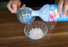 Prirodni Načini za Osvježavanje Doma: Uštedite Novac i Očuvajte Zdravlje