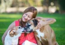 Pas je čovekov najbolji prijatelj, a evo koja rasa odgovara baš vašem horoskopskom znaku: Kakav gazda, takav ljubimac