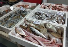 Ovo je najzdravija riba: Bolja od LOSOSA, A MNOGO JEFTINIJA – Evo koliko često je treba jesti