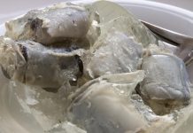 5 najgorih jela na svetu: Onaj ko je u stanju da uzme zalogaj, nije sa ove planete