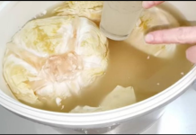 NEĆETE VJEROVATI ZBOG ČEGA SE KVARI KISELI KUPUS: Ovo OBAVEZNO morate da PROVJERITE ili će VAM PROPASTI