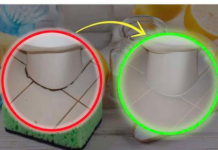 KAMENAC I PRLJAVŠTINA U PUKOTINAMA BUKVALNO SU NESTALI PRED NAŠIM OČIMA: Kućni trik kojim sam očistila kupatilo staro 20 godina u TOP stanju!