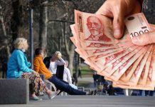 Posao je UNOSAN, DRAGOSLAV proda sve što proizvede a još mu i DRŽAVA POMAŽE – Kaže da se lepo živi od ovog biznisa ali da nije za one koji bi da zarade a da ne rade