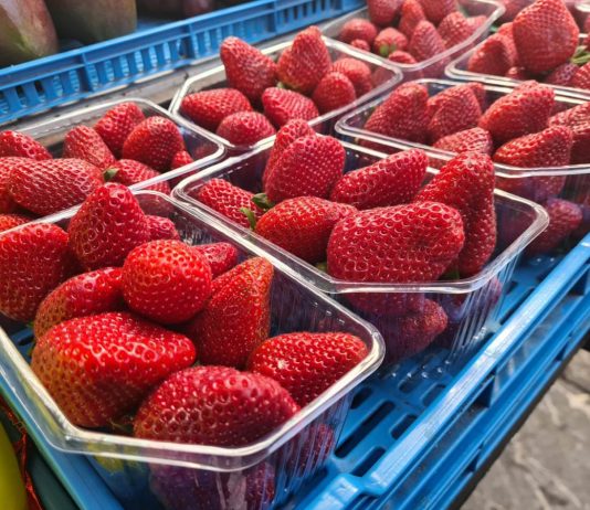Kupila jagode na pijaci, pa doživela šok: Kada ih je spustila u vodu, desilo se nešto što je prestravilo Srbiju! (FOTO
