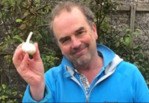 UZGAJANJE BIJELOG LUKA NIKAD LAKŠE: Kupite u marketu glavicu i stavite u vodu, rezultat je fantastičan!