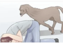 U blizini loše osobe svaki pas uradi SAMO jednu stvar: Dobro zapamtite ovu reakciju