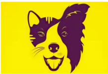 TEST OTKRIVA VAŠE VRLINE I MANE: Da li vidite psa ili mačku, pokazuje vašu najranjiviju tačku