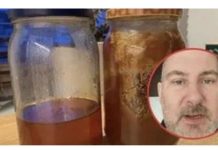 Pčelar pokazao gdje u kući treba čuvati med: VEĆINA LJUDI TO RADI POGREŠNO!