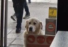 OTKRIJTE I SAMI ZAŠTO JE OVAJ SNIMAK IZ UŽICA ZA SAMO 2 DANA POGLEDALO MILION LJUDI!- Sada cela Srbija zna ko je Uroš (VIDEO)