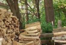 Možete li pronaći MAČKU NA OVOJ FOTOGRAFIJI? – Skoro nikome ne polazi za rukom, probajte i vi